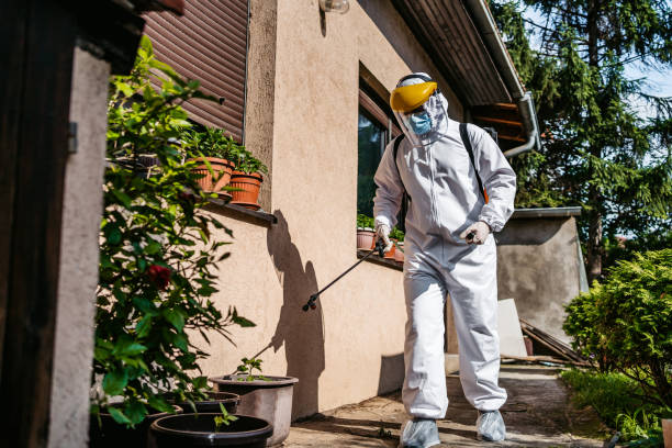 Pest Prevention Services in Downers Grove, IL