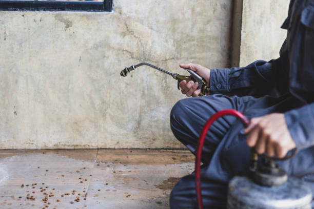 Pest Control for Restaurants in Downers Grove, IL
