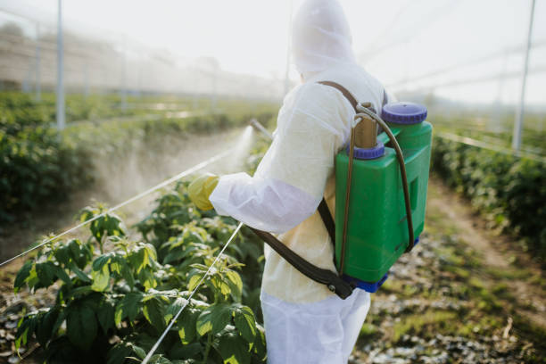 Trusted Downers Grove, IL Pest Control Experts